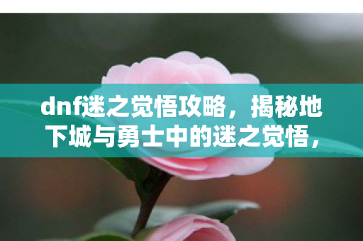 dnf迷之觉悟攻略，揭秘地下城与勇士中的迷之觉悟，勇士们，踏入未知的冒险之旅！