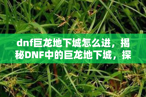 dnf巨龙地下城怎么进，揭秘DNF中的巨龙地下城，探险、挑战与荣耀的宝藏
