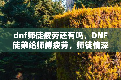 dnf师徒疲劳还有吗，DNF徒弟给师傅疲劳，师徒情深，携手共进