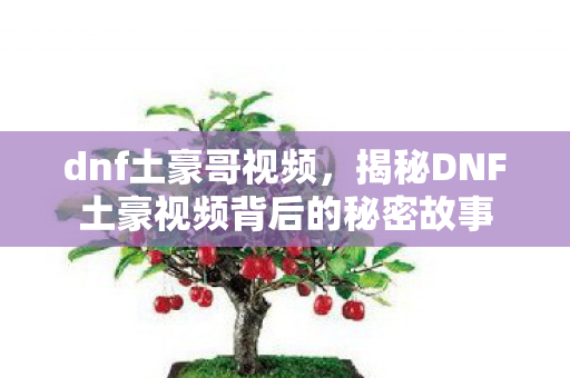 dnf土豪哥视频，揭秘DNF土豪视频背后的秘密故事