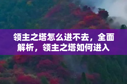 领主之塔怎么进不去，全面解析，领主之塔如何进入