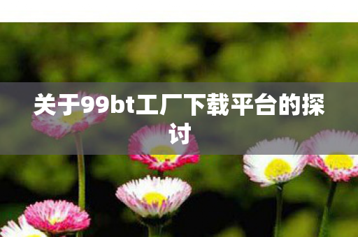 关于99bt工厂下载平台的探讨
