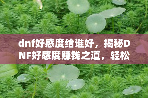 dnf好感度给谁好，揭秘DNF好感度赚钱之道，轻松赚取丰厚收益！