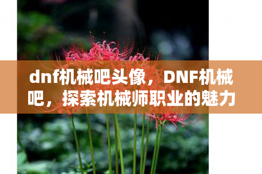 dnf机械吧头像，DNF机械吧，探索机械师职业的魅力与独特之处