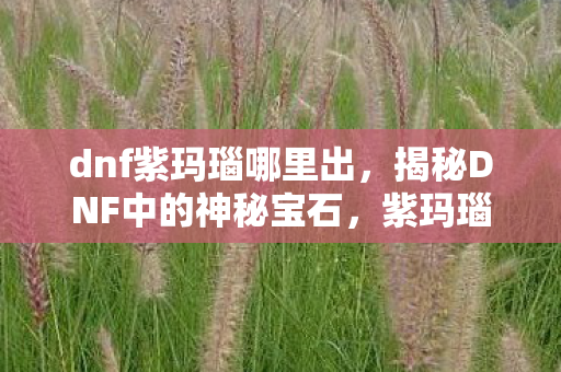 dnf紫玛瑙哪里出，揭秘DNF中的神秘宝石，紫玛瑙