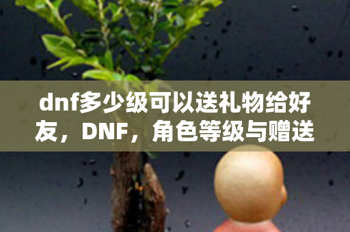 dnf多少级可以送礼物给好友，DNF，角色等级与赠送礼物权限解析