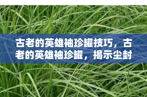 古老的英雄袖珍罐技巧，古老的英雄袖珍罐，揭示尘封的历史秘密
