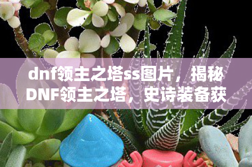 dnf领主之塔ss图片，揭秘DNF领主之塔，史诗装备获取攻略与心得分享