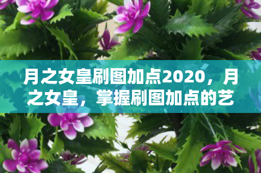 月之女皇刷图加点2020，月之女皇，掌握刷图加点的艺术