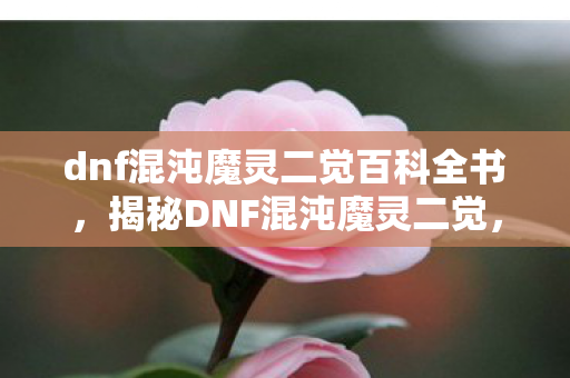 dnf混沌魔灵二觉百科全书，揭秘DNF混沌魔灵二觉，觉醒之力，掌控混沌的神秘力量