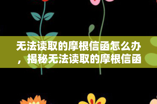 无法读取的摩根信函怎么办，揭秘无法读取的摩根信函，历史迷雾中的秘密与真相探寻