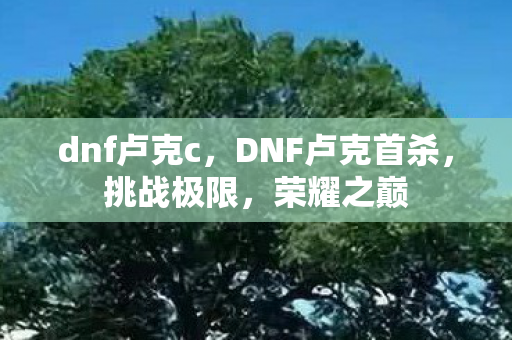 dnf卢克c，DNF卢克首杀，挑战极限，荣耀之巅