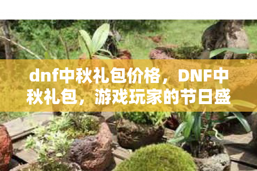dnf中秋礼包价格，DNF中秋礼包，游戏玩家的节日盛宴