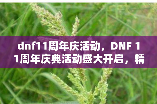 dnf11周年庆活动，DNF 11周年庆典活动盛大开启，精彩活动不容错过！