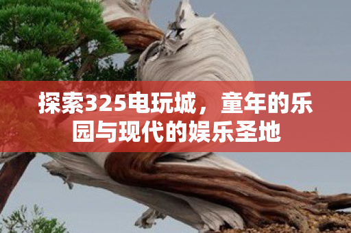 探索325电玩城，童年的乐园与现代的娱乐圣地
