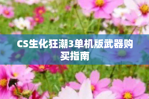 CS生化狂潮3单机版武器购买指南