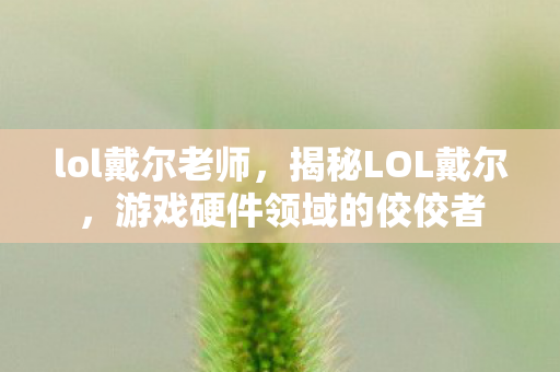 lol戴尔老师，揭秘LOL戴尔，游戏硬件领域的佼佼者