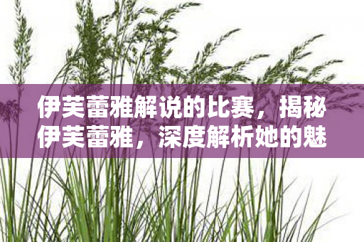 伊芙蕾雅解说的比赛，揭秘伊芙蕾雅，深度解析她的魅力与影响力