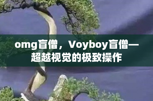omg盲僧，Voyboy盲僧—超越视觉的极致操作