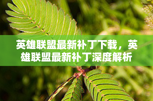 英雄联盟最新补丁下载，英雄联盟最新补丁深度解析