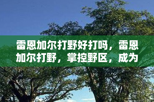 雷恩加尔打野好打吗，雷恩加尔打野，掌控野区，成为无敌霸主