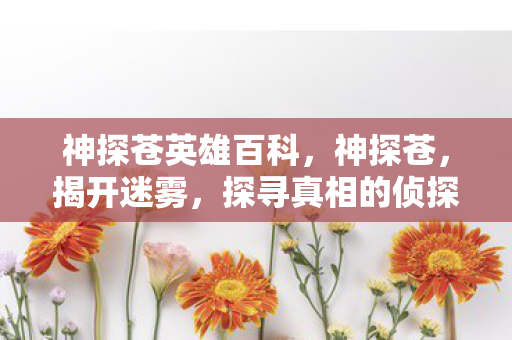 神探苍英雄百科，神探苍，揭开迷雾，探寻真相的侦探传奇