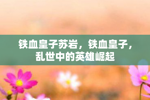 铁血皇子苏岩，铁血皇子，乱世中的英雄崛起