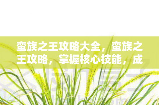 蛮族之王攻略大全，蛮族之王攻略，掌握核心技能，成为战场霸主