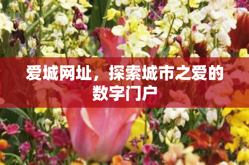 爱城网址，探索城市之爱的数字门户