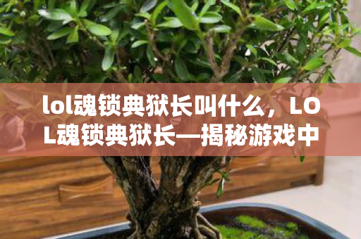 lol魂锁典狱长叫什么，LOL魂锁典狱长—揭秘游戏中的铁血霸主