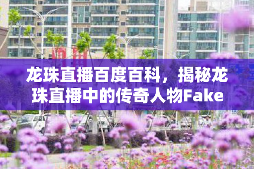 龙珠直播百度百科，揭秘龙珠直播中的传奇人物Faker的成长之路