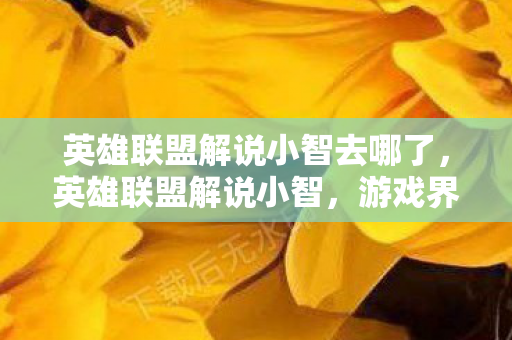 英雄联盟解说小智去哪了，英雄联盟解说小智，游戏界的独特声音