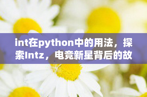 int在python中的用法，探索Intz，电竞新星背后的故事