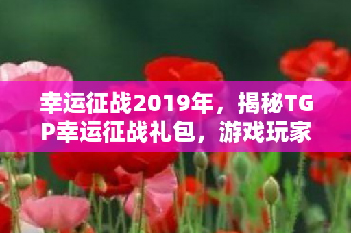 幸运征战2019年，揭秘TGP幸运征战礼包，游戏玩家的福音！
