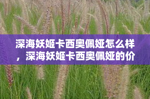 深海妖姬卡西奥佩娅怎么样，深海妖姬卡西奥佩娅的价格与购买渠道