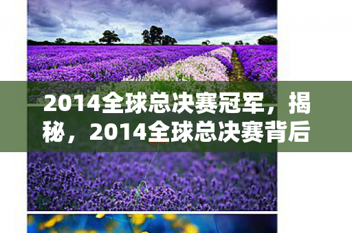 2014全球总决赛冠军，揭秘，2014全球总决赛背后的故事与传奇英雄