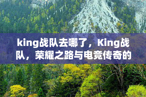 king战队去哪了，King战队，荣耀之路与电竞传奇的无懈追求