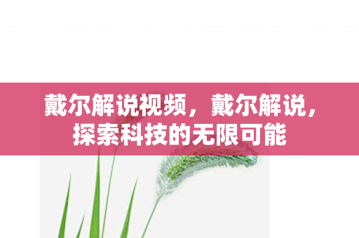 戴尔解说视频，戴尔解说，探索科技的无限可能