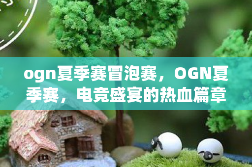 ogn夏季赛冒泡赛，OGN夏季赛，电竞盛宴的热血篇章
