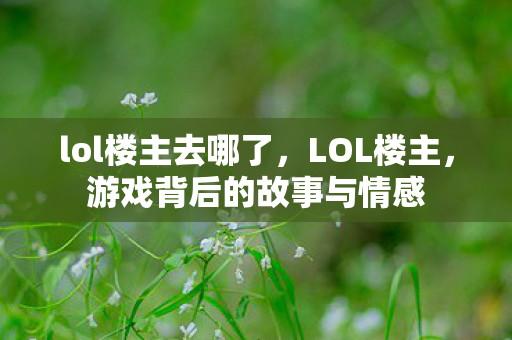 lol楼主去哪了，LOL楼主，游戏背后的故事与情感