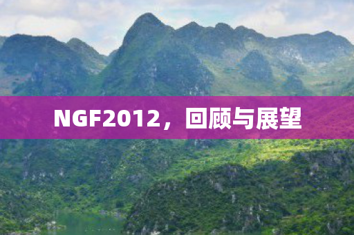 NGF2012，回顾与展望
