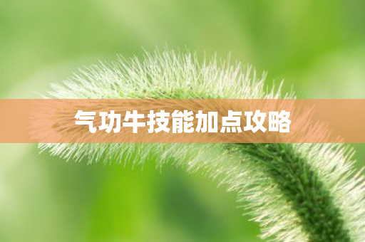 气功牛技能加点攻略