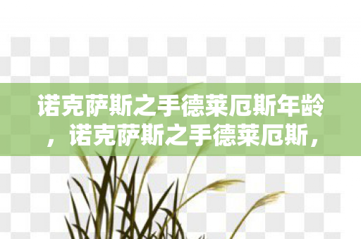 诺克萨斯之手德莱厄斯年龄，诺克萨斯之手德莱厄斯，铁血英雄的荣耀征途