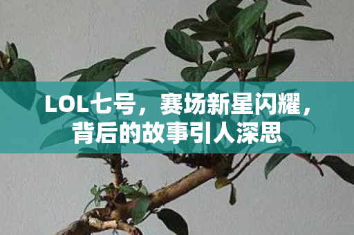 LOL七号，赛场新星闪耀，背后的故事引人深思