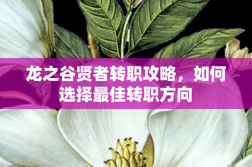 龙之谷贤者转职攻略，如何选择最佳转职方向