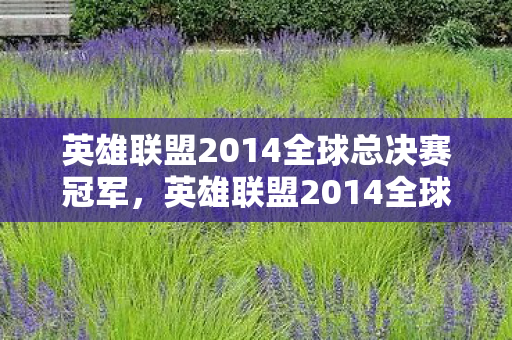 英雄联盟2014全球总决赛冠军，英雄联盟2014全球总决赛，电竞巅峰之战的震撼回顾