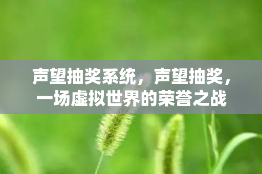 声望抽奖系统，声望抽奖，一场虚拟世界的荣誉之战