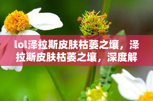 lol泽拉斯皮肤枯萎之壤，泽拉斯皮肤枯萎之壤，深度解析与体验分享