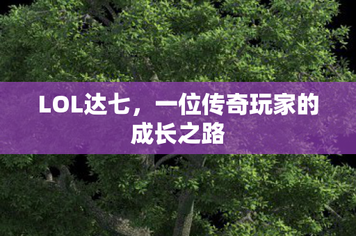 LOL达七，一位传奇玩家的成长之路
