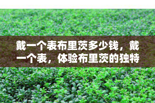 戴一个表布里茨多少钱，戴一个表，体验布里茨的独特魅力